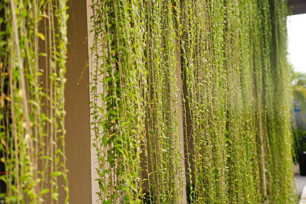 Sichtschutz und Privatsphäre