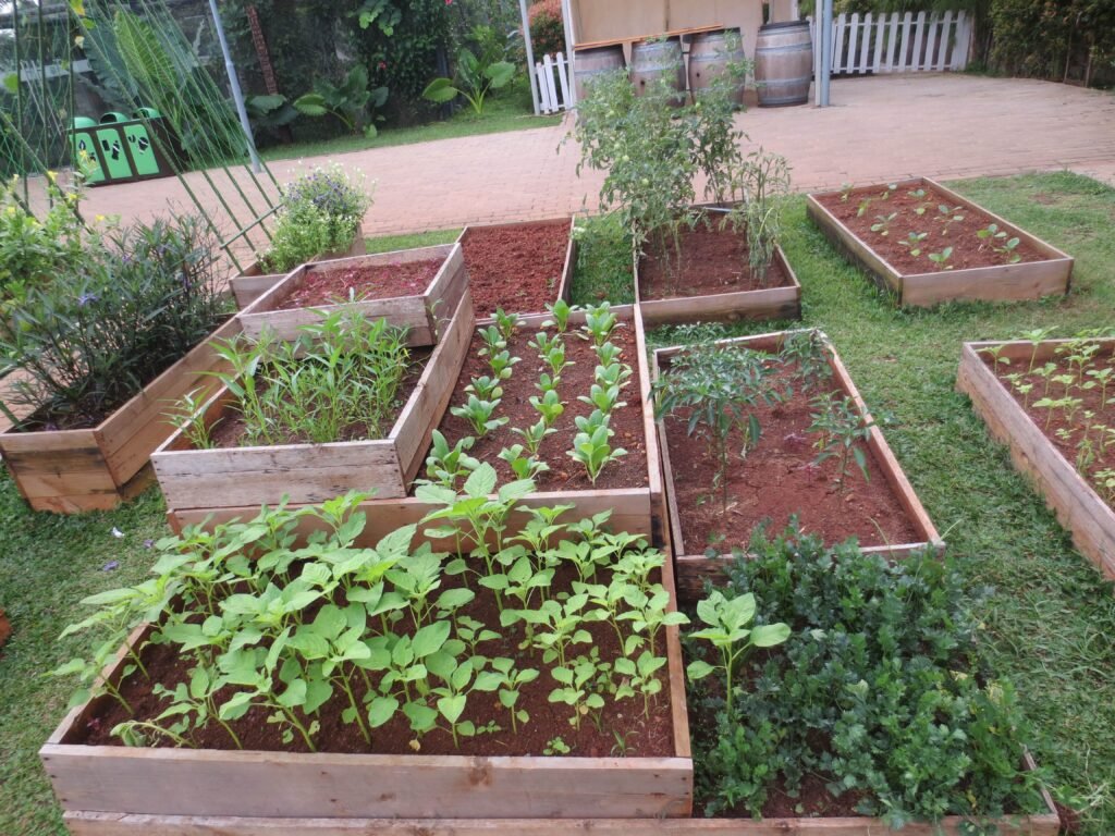 Küchengarten-Gestaltungsideen