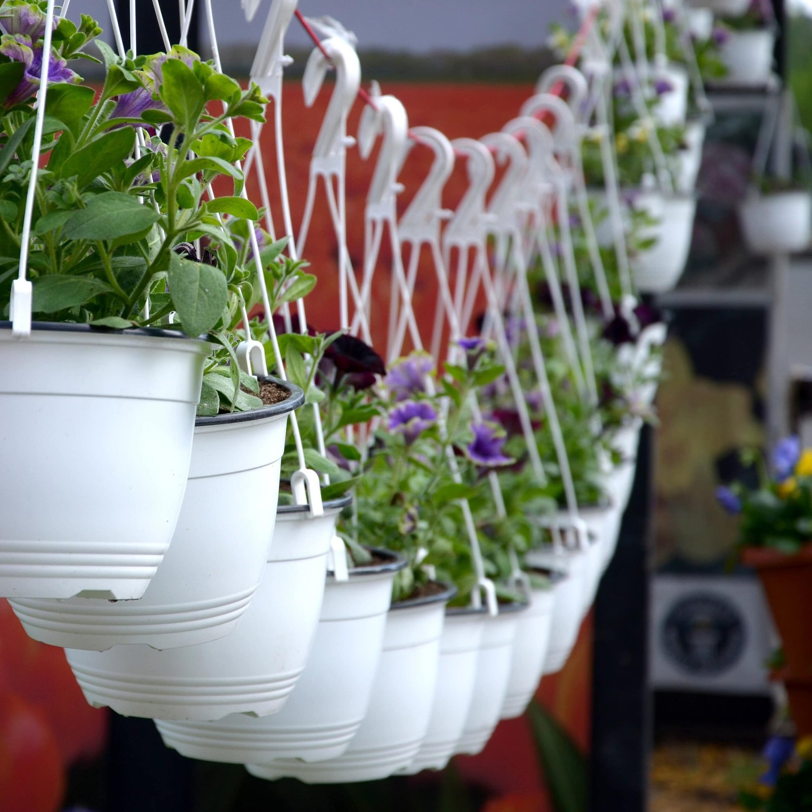 Hängende Pflanzkörbe