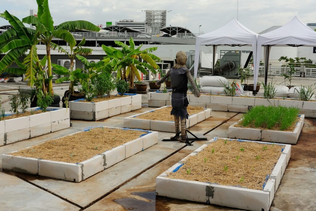 Dachgartenbau