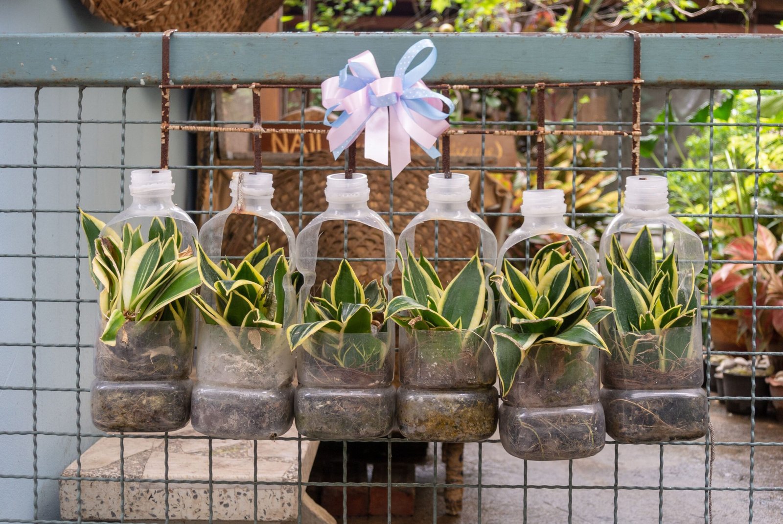 Container-Gärten aus Altmaterial