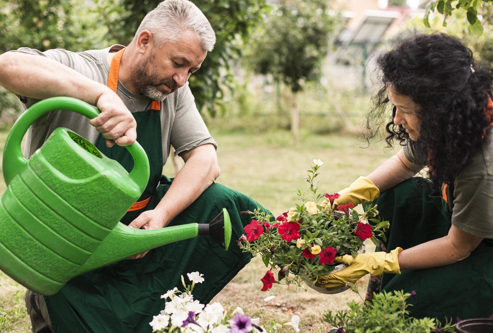 Zimmerpflanzenpflege