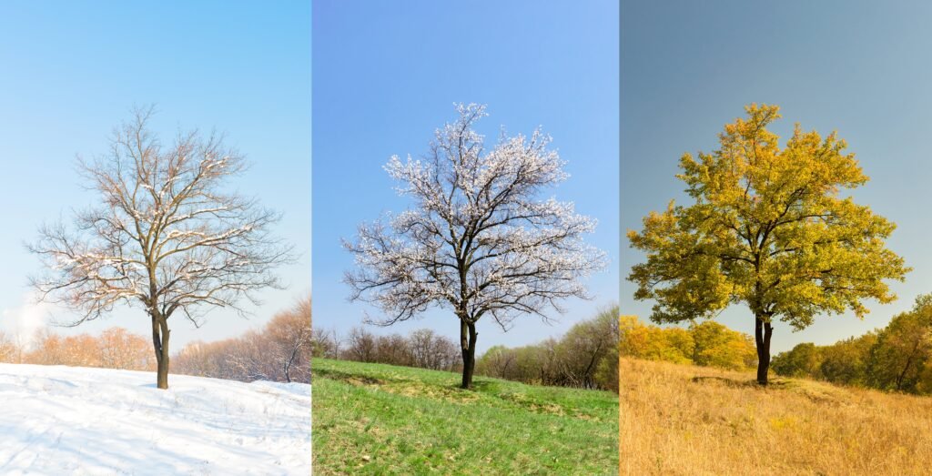 Saisonale Gartenarbeit
