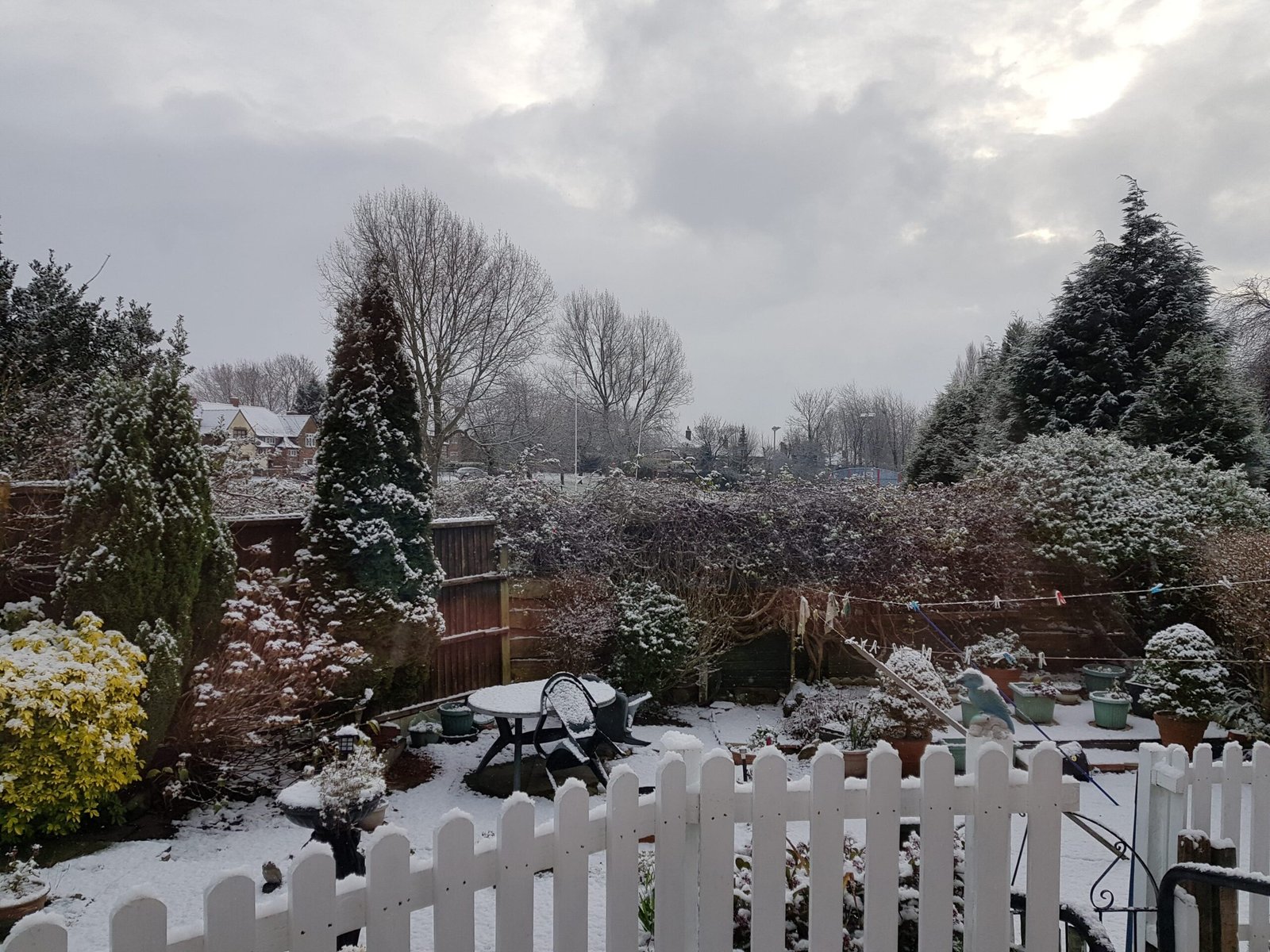 Garten im Winter